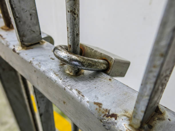 istock Detained in the cage by locking the key. 805413594