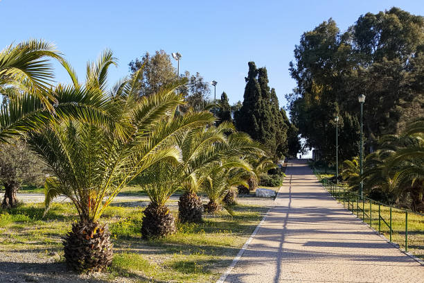 Winter Garden has nothing to do with the season but rather with the German botanist Ludwig Winter who, living in Bordighera, created his own botanic garden that, after many years of abandonment was recently reopened as a free public park of the town.  Bordighera in the Italian Province Liguria, Region Imperia, is a medieval town from the XV. century, also known as Regina delle Palme, The Queen of the Palm Trees. It is located on the Italian Riviera between the French border and Sanremo. Also called Riviera dei Fiori.