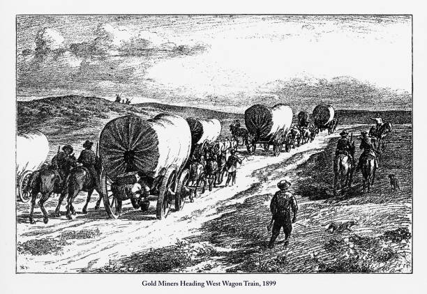 Gold Miners Heading West Wagon Train Victorian Engraving, 1899 Beautifully Illustrated Antique Engraved Victorian Illustration of Gold Miners Heading West Wagon Train Victorian Engraving, 1899. Source: Original edition from my own archives. Copyright has expired on this artwork. Digitally restored. covered wagon stock illustrations