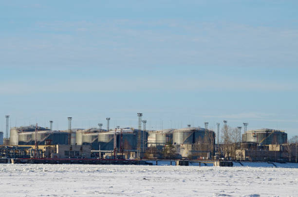 istock containers with oil in the port. 805428378