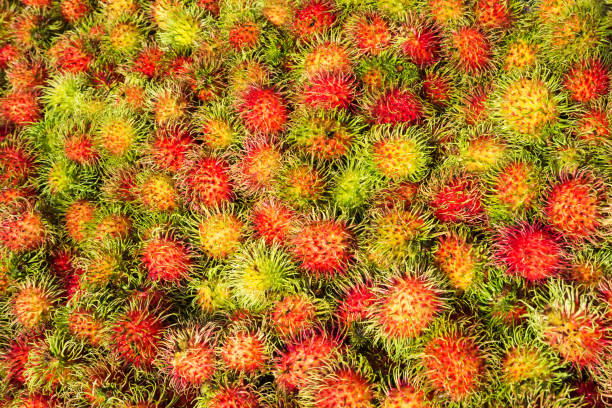 istock Fresh organic rambutans on shelf store. Tropical fruit. Sweet taste. 805450078