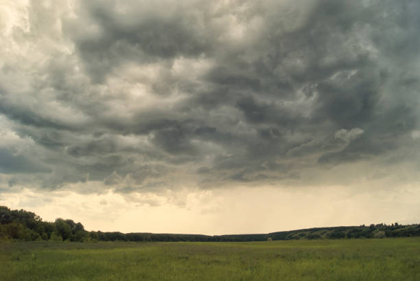 istock Storm cloud over yellow green fields forests and hills 805480172