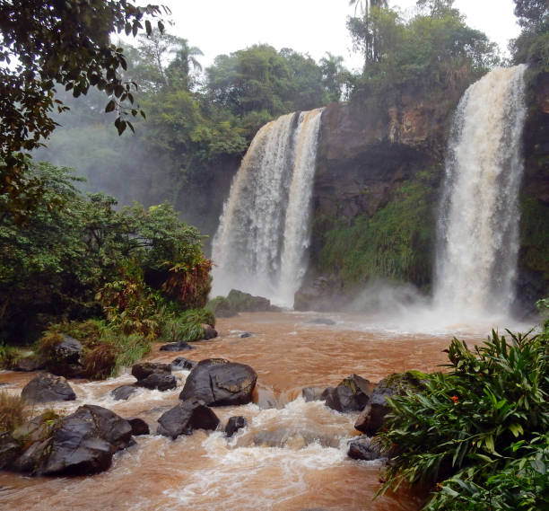 istock Iguassu National Park 805486264