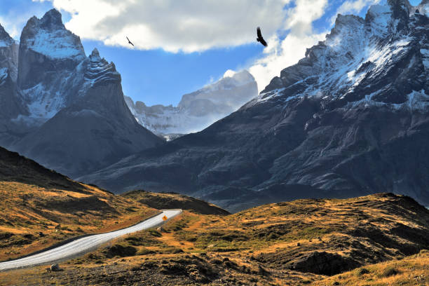 istock Grandiose landscape in the Chilean Andes 805501384