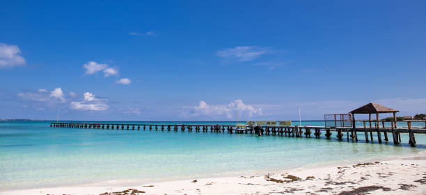 istock Wooden pier on tropical beach 805515750