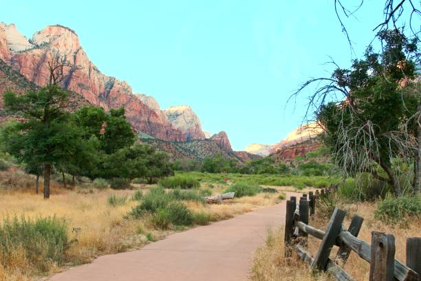 istock Zion National Park with mountains, Utah, U.S.A. 805529934