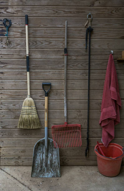 istock Well organized cleaning tools in a horse barn 805562518