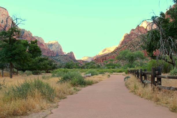 istock Zion National Park with mountains, Utah, U.S.A. 805572208