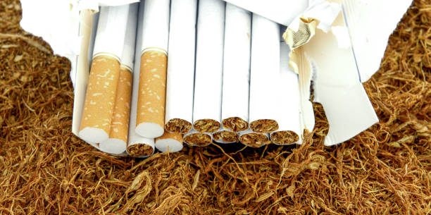 istock cigarettes and tobacco , close up 805576044