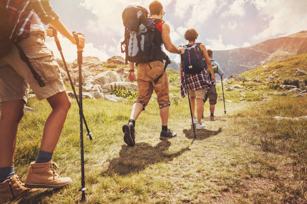 istock Long journey to the peak 805613640