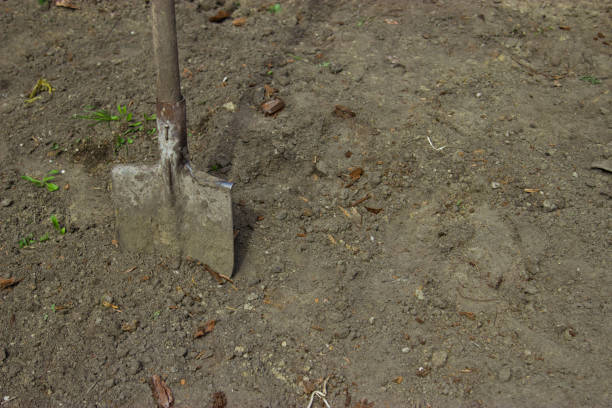 istock A shovel on a red fence. 805613828