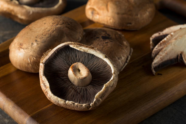 seta de portobello cruda orgánica saludable tapas - edible mushroom plants raw food nature fotografías e imágenes de stock