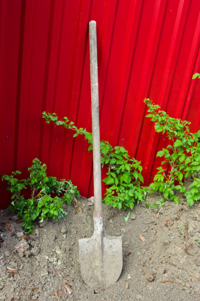 istock A shovel on a red fence. 805613844