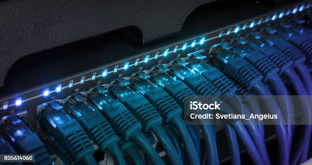 Network Server Panel Switch And Patch Cord Cable In Data Center Stock Photo - Download Image Now