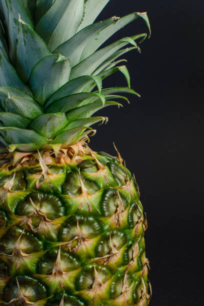 pineapple fruit close up, black background stock photo