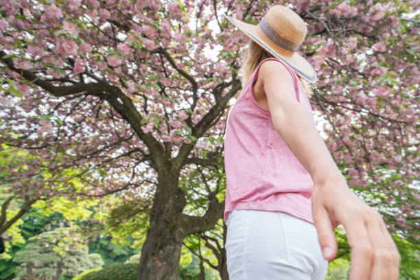 istock Low angle view of a young woman under a cherry blossom tree 805658852