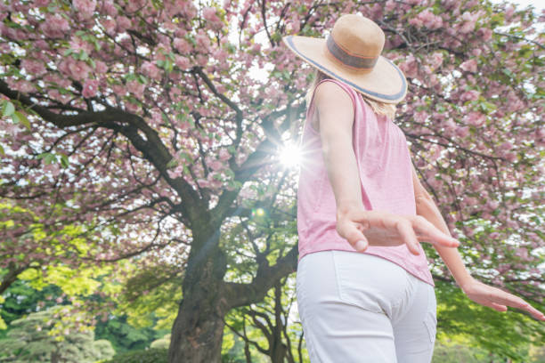 istock Low angle view of a young woman under a cherry blossom tree 805660420