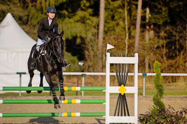 istock Hurdling, horse racing 805734758