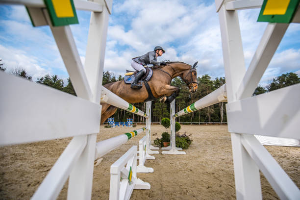 Jump on a horse over the hurdle Low angle side view of a young female jockey jumping on a horse over the double hurdle. equestrian show jumping stock pictures, royalty-free photos & images