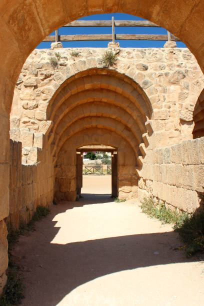 istock Jerash with old columns and roman ruins, Jordan 805737182