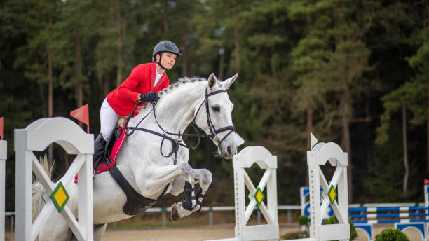 istock Jump over the hurdle 805739642