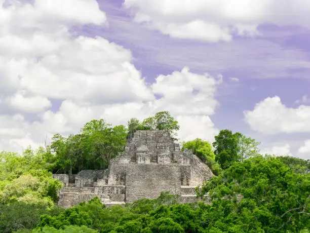 Photo of Maya temple calakmul in mexico