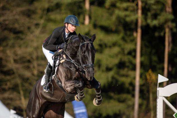 istock Hurdling, horse racing 805739808