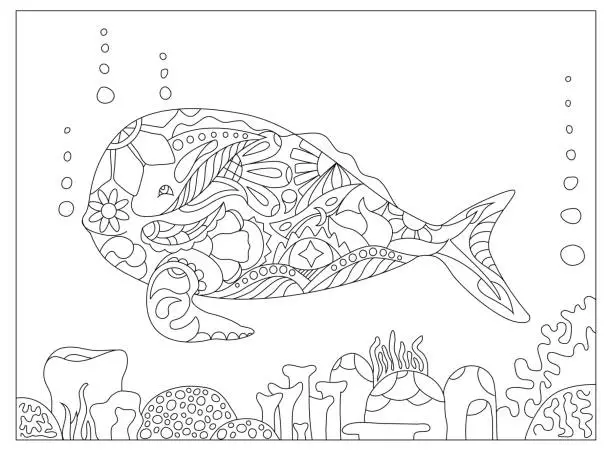 Vector illustration of Whale and corals adult coloring page vector illustration