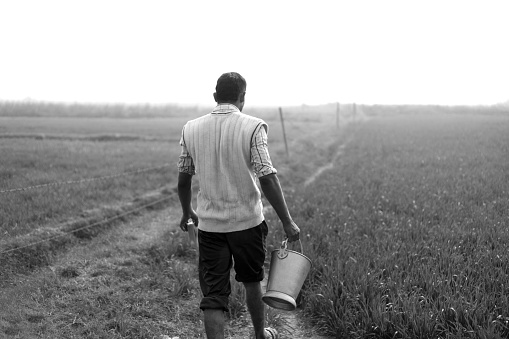Farmer holding bucket in the open field
