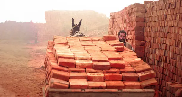 Man working in brick factory (Kiln) and riding fully loaded of donkey cart.