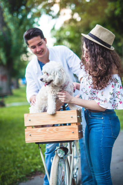 istock Cute couple with their funny dog 805833500