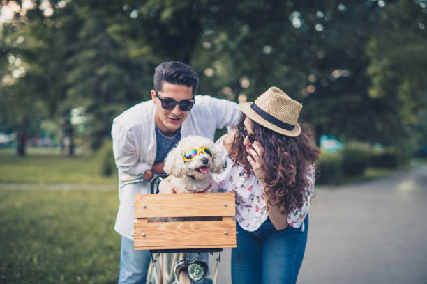 istock Cute couple with their funny dog 805841604