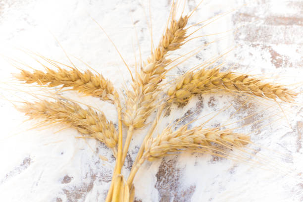 istock spikes of wheat and flour 805864004