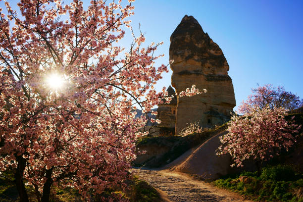 Castle and unique geological formations in Cappadocia