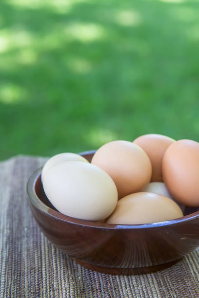 Brown eggs in wooden bowl outdoors with grassy background
