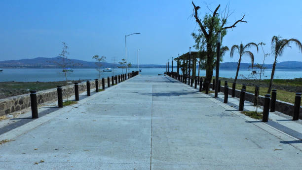 istock Straight into the lake 805969630