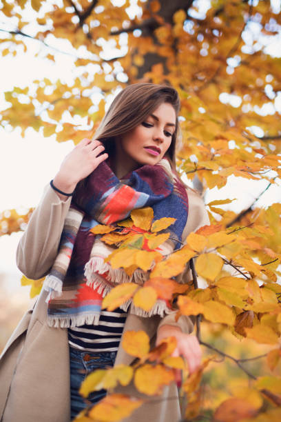 istock So Many Shades Of Yellow 805977074