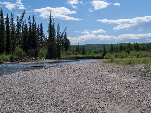 istock Summer day by the flowing river 805997806