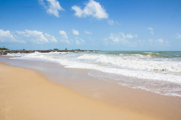 istock Beach and tropical sea 806023000