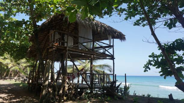 istock dominican republic 806027858