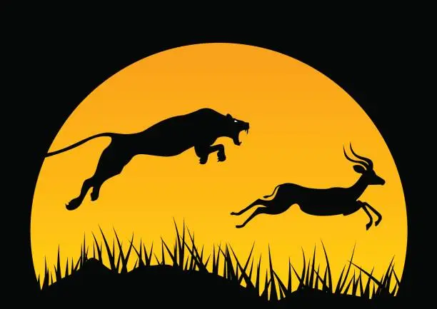 Vector illustration of horizontal illustration of africa. wild life. hunting. africa icon. Jaguar and antelope. Tree and animals.