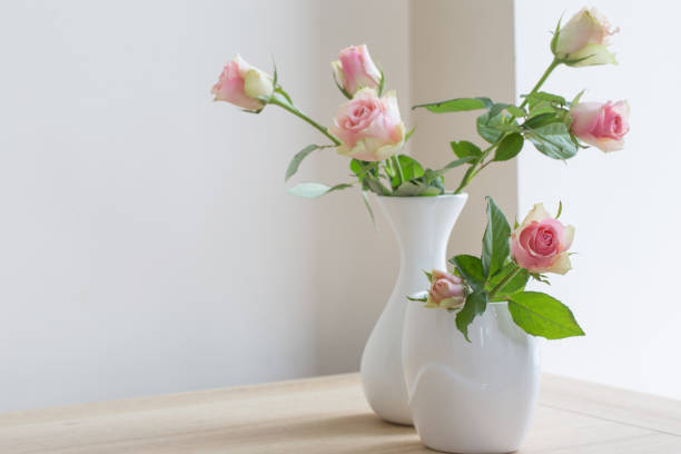 istock pink roses in vase on white background 806043002