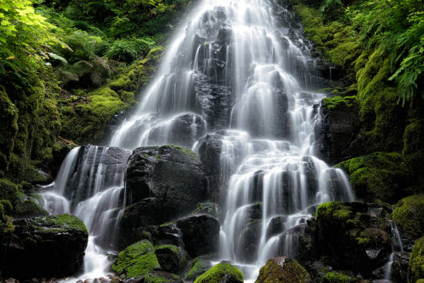 istock Waterfalls in the Columbia River Gorge 806064932