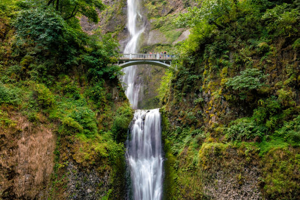 istock Multnomah Falls in the Columbia River Gorge 806065164