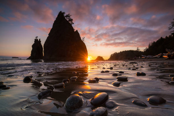 tramonto sulla spiaggia di rialto - olympic peninsula foto e immagini stock