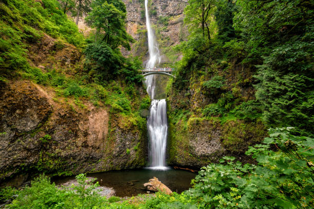 istock Multnomah Falls in the Columbia River Gorge 806065364