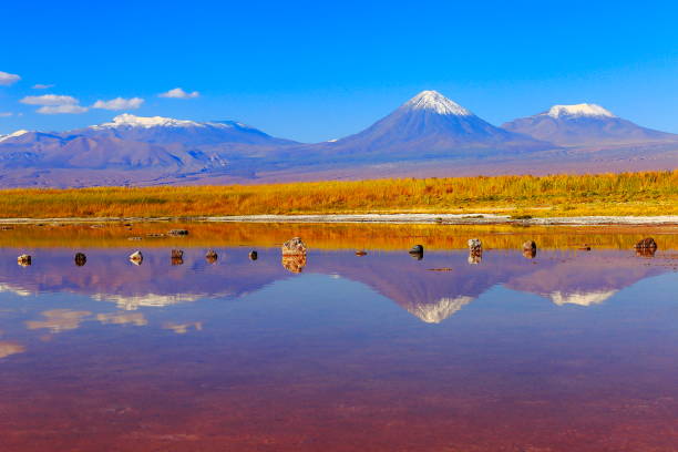 istock Laguna Cejar – dramatic Cejar lake mirrored reflection, Licancabur and Miniques snowcapped volcanoes and Idyllic Atacama Desert, Volcanic landscape panorama – San Pedro de Atacama, Chile, Bolívia and Argentina border 806070150