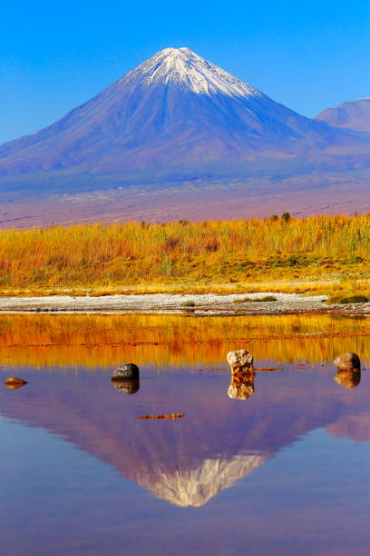 Laguna Cejar – dramatic Cejar lake mirrored reflection, Licancabur and Miniques snowcapped volcanoes and Idyllic Atacama Desert, Volcanic landscape panorama – San Pedro de Atacama, Chile, Bolívia and Argentina border