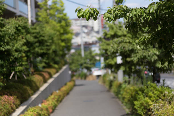 istock The streets of Japan 806070380