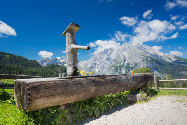 holzbrunnen im idyllischen sommerlandschaft mit watzmann - nationalpark berchtesgaden - european alps germany landscaped spring stock-fotos und bilder